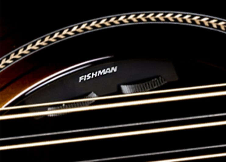 Fishman Matrix Infinity pickup