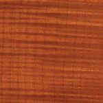 Canadian Curly Maple