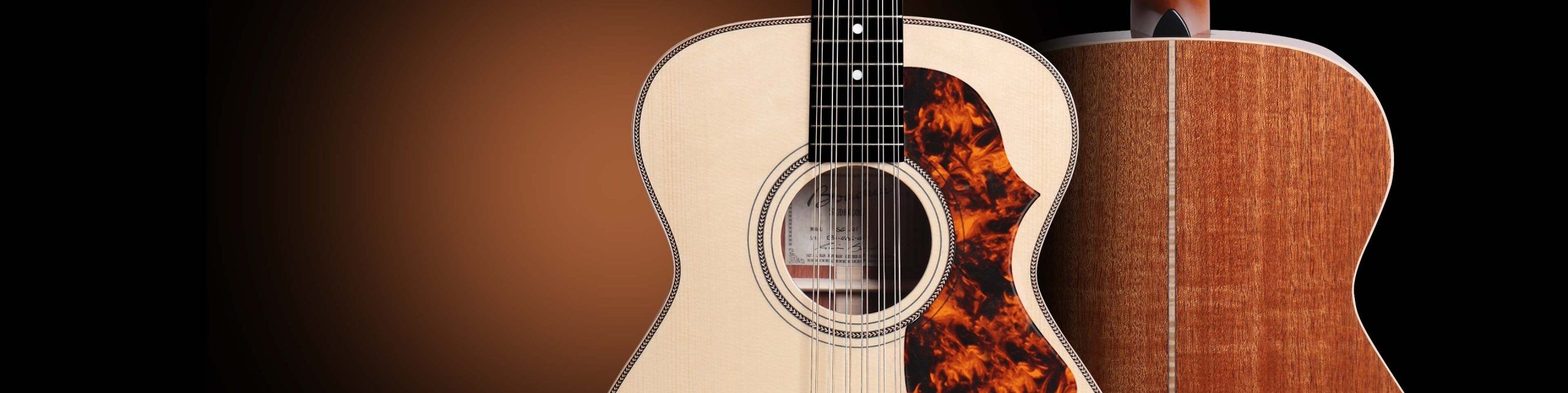 SG12-41-E Banner NEW