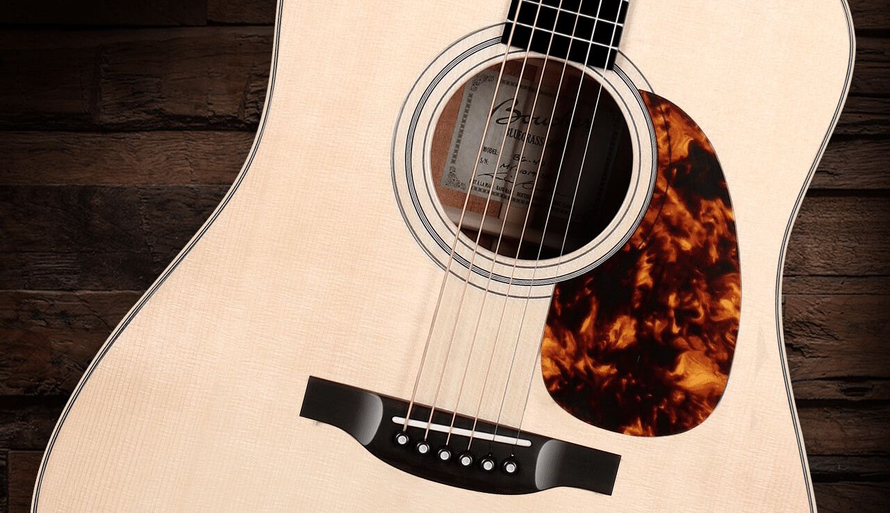 Boucher Guitars Bluegrass Goose